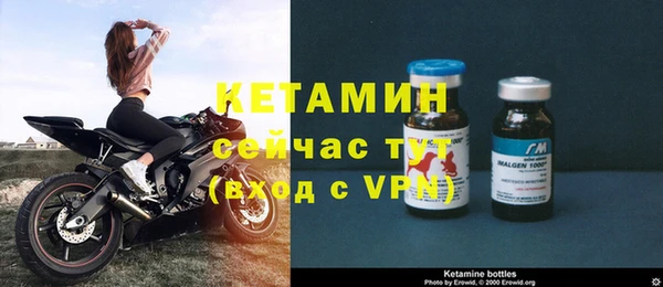 гашик Богданович