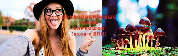 хмурый Богородск