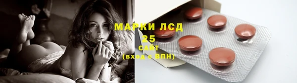 гашик Богданович