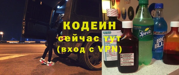 хмурый Богородск