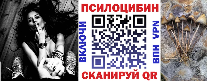 как найти наркотики  Стерлитамак  кракен ССЫЛКА  Псилоцибиновые грибы Magic Shrooms 